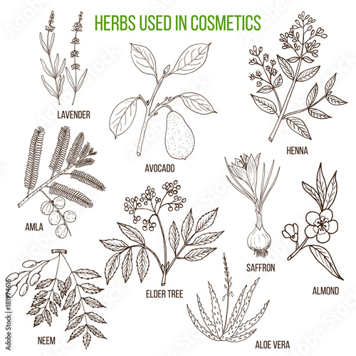 Herbs used in cosmetology