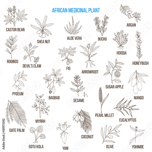 African medicinal plants