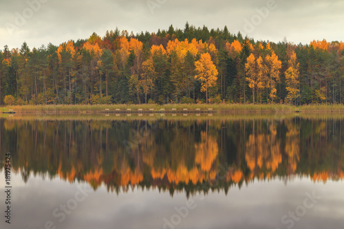 Autumn colors on the lake, Poland