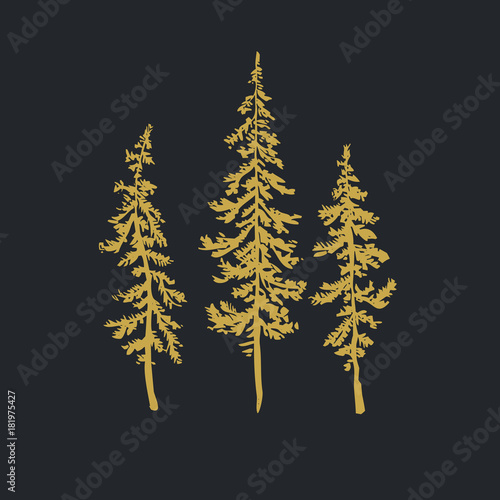 Christmas trees realistic hand drawn vector set, isolated over white