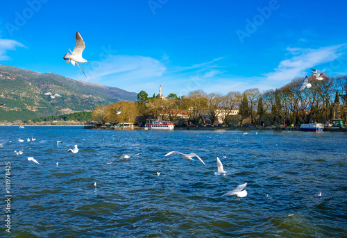 Ioannina city in Greece. View of the lake and the mosque of Aslan Pasa cami with seagulls and swans. photo