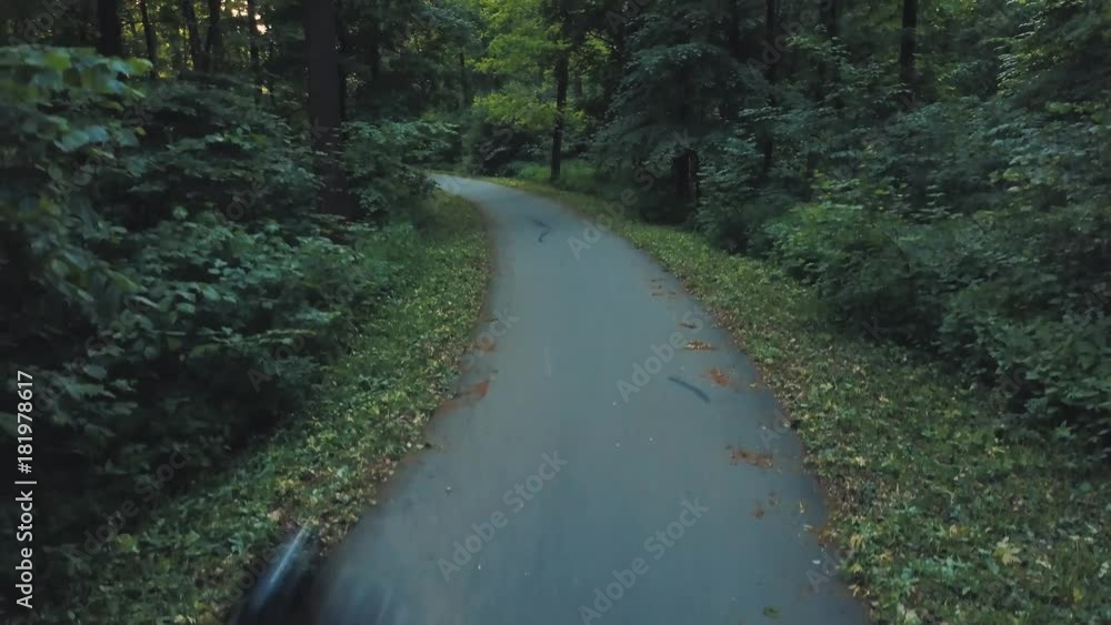 Biker riding a motorcycle on a road surrounded by trees Biker riding a motorcycle on a road surrounded by trees