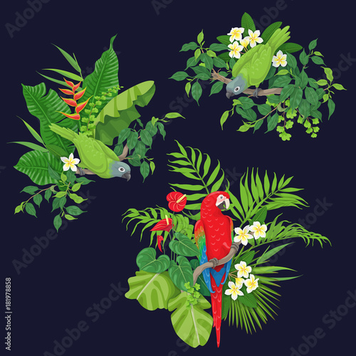 Green Parrots and Red Macaw on Tree Branch