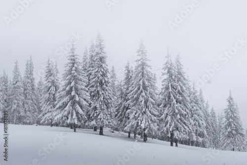 Fantastic winter landscape