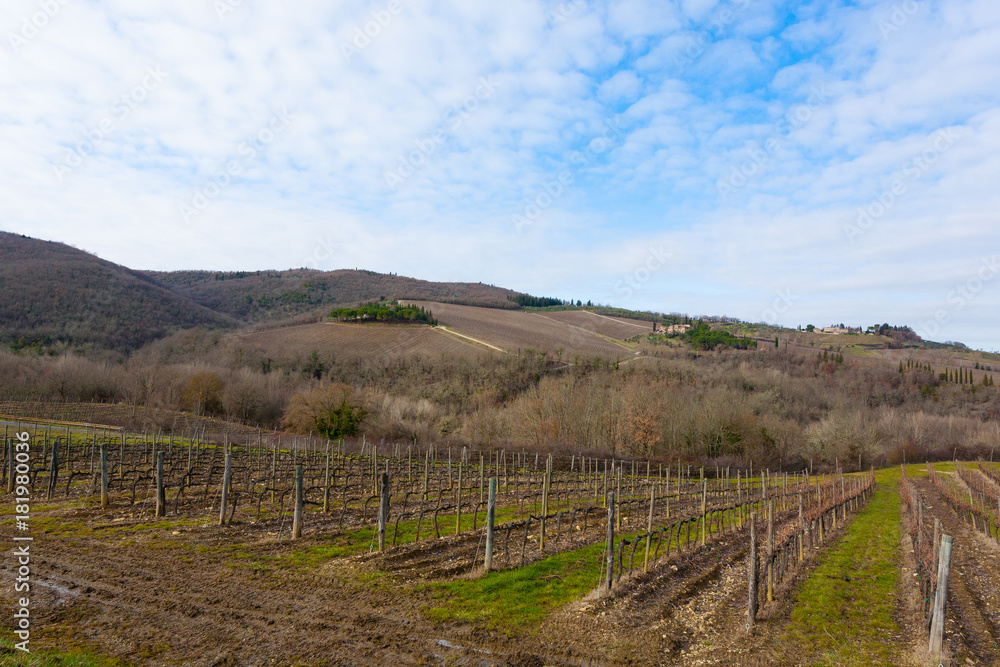 Rows of vineyards from Tuscany hills