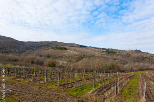 Rows of vineyards from Tuscany hills