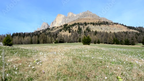 Rosengartengruppe, Südtirol, Italien
 photo