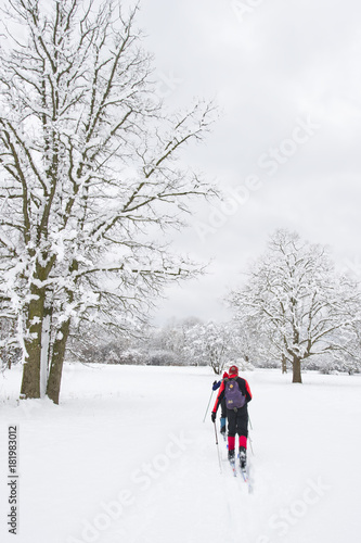 cross country skiers in fresh fallen snow