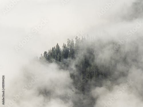 A glimpse of a forest hill and trees showing trough thick fog and clouds