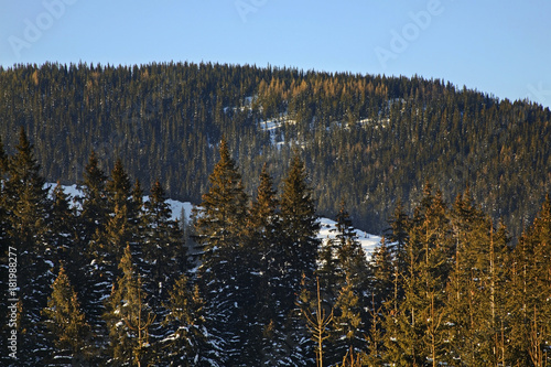  Low Tatras in Jasna. Slovakia