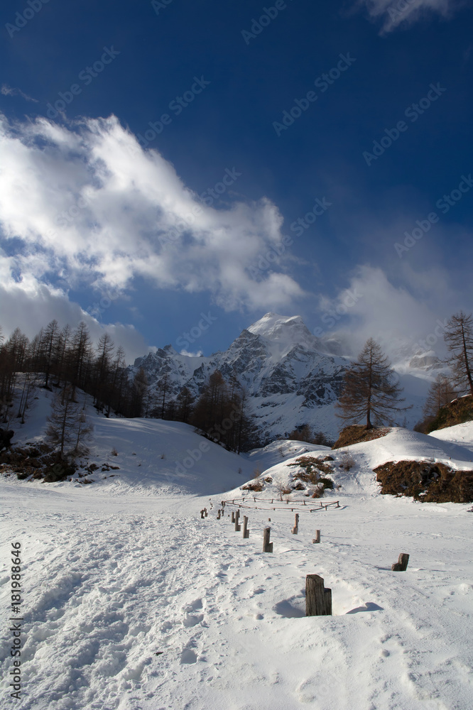 Fototapeta premium landscape