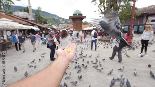 Sarajevo, Bosnia and Herzegovina, 3rd, August 2017 - Slow motion footage of two pigeons eating from a mans hand in Sarajevos old town near the landmark Sebilj photo