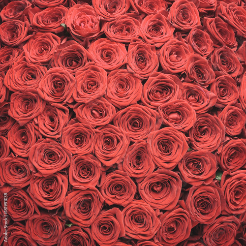 Fototapeta Naklejka Na Ścianę i Meble -  Big red roses bouquet