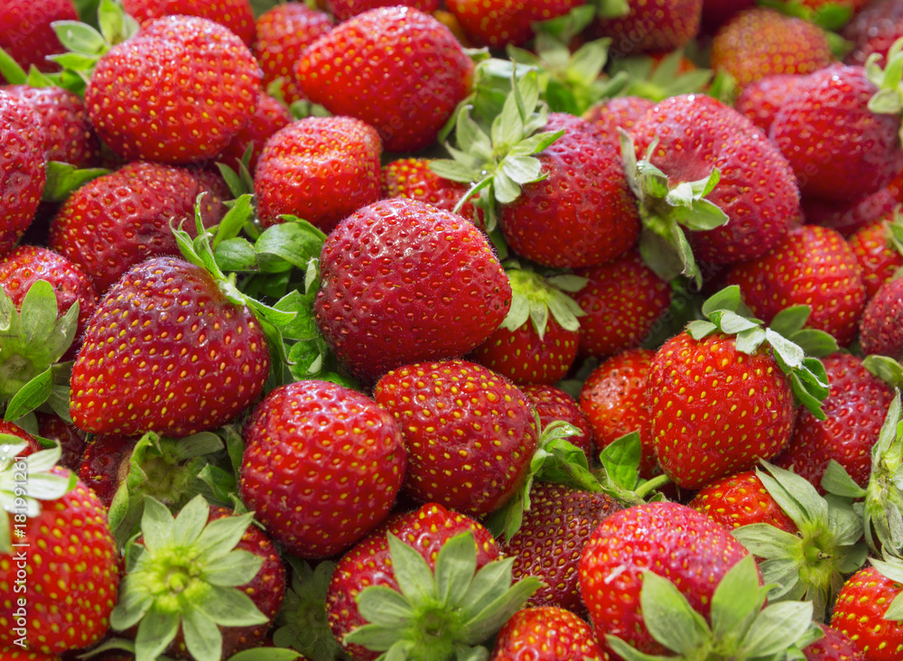 Background of beautiful and juicy strawberries with green leaves Background of beautiful and juicy strawberries with green leaves