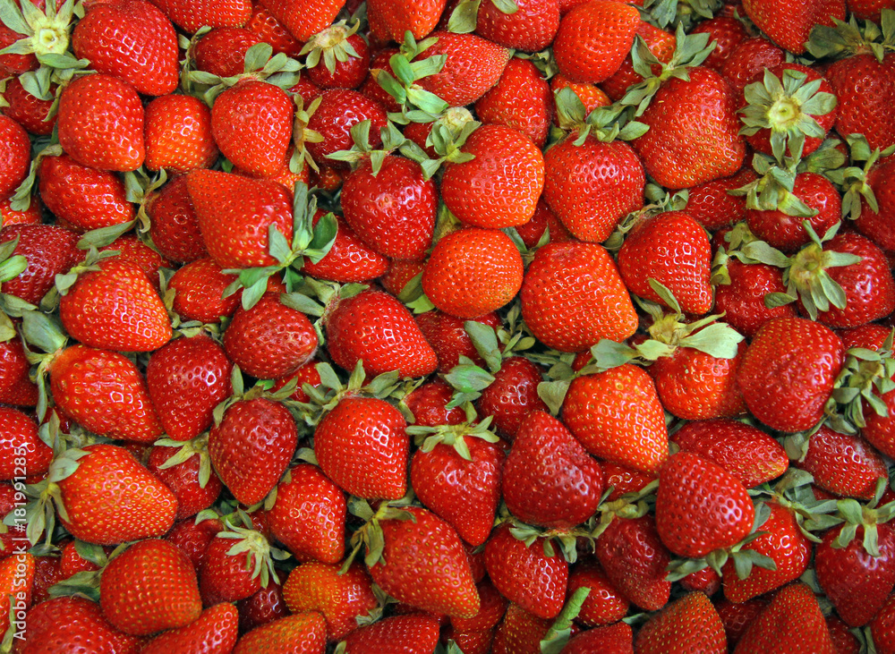 background from freshly harvested strawberries. background from freshly harvested strawberries.
