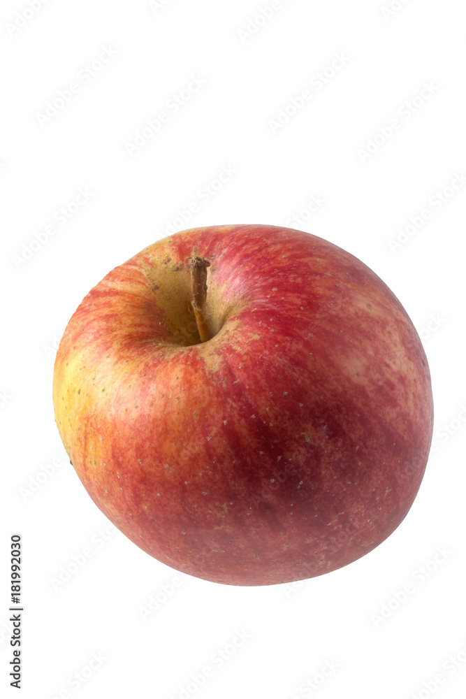 Apfelsorte Apfelsorte