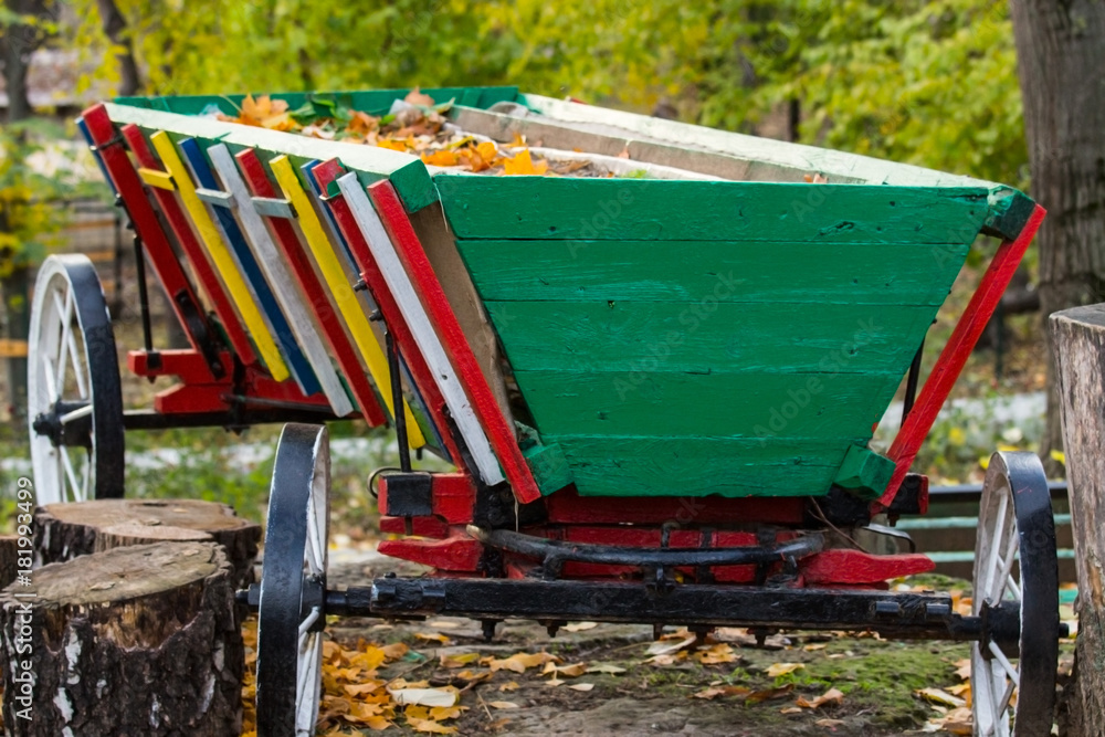 multicolored carriage in the parck multicolored carriage in the parck