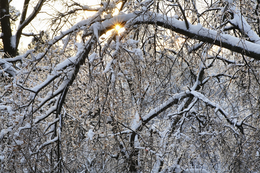 Obraz premium Tsaritsyno park in Moscow after icy rain. Russia