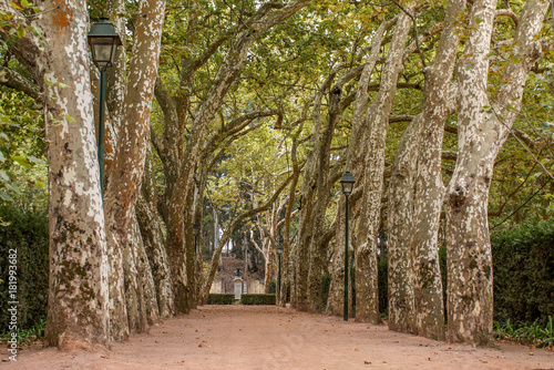 Caldas Da Rainha, Portugal