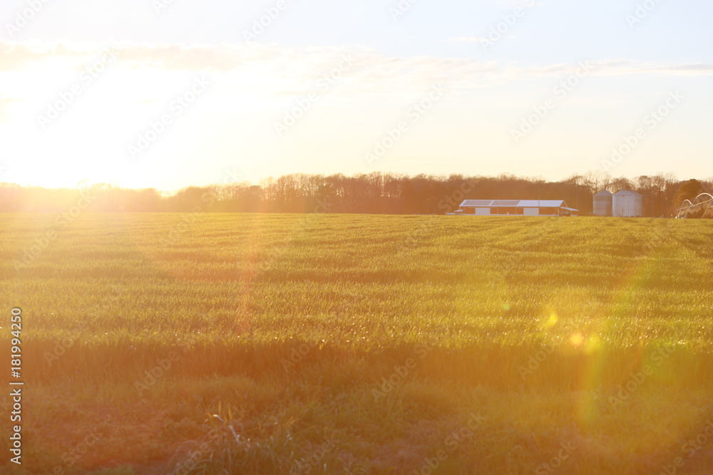 Obraz premium Farm land