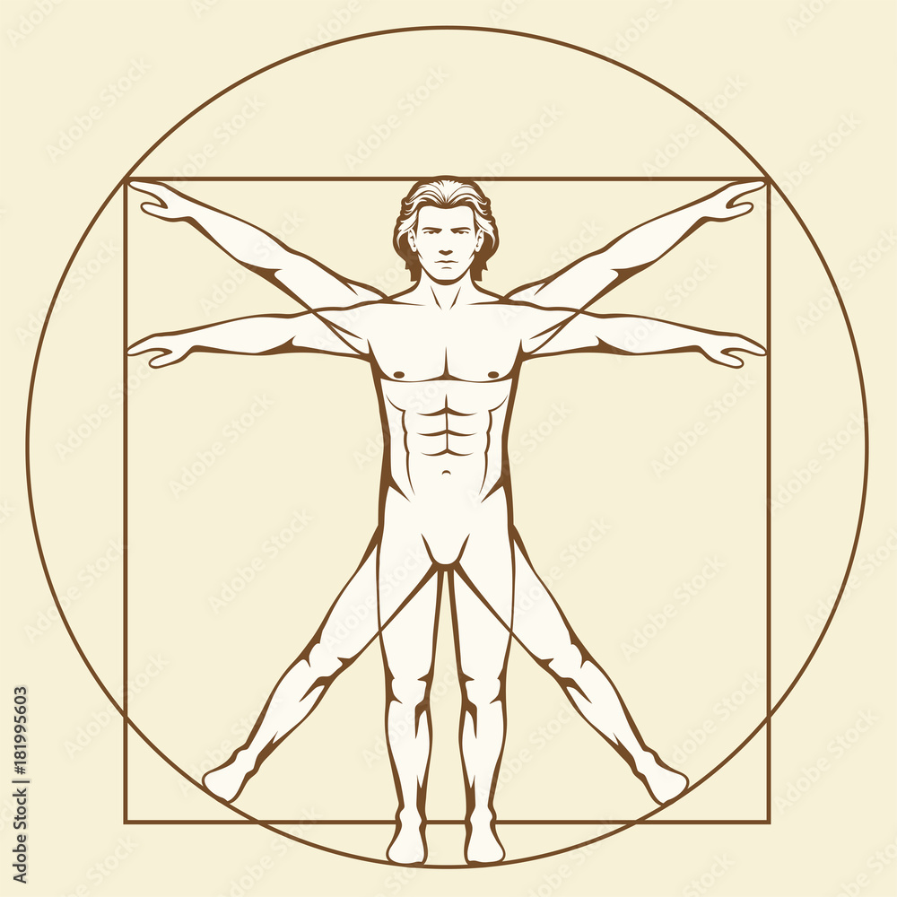 Leonardo Da Vinci Vetruvian Man human anatomy Stock Vector Adobe Stock