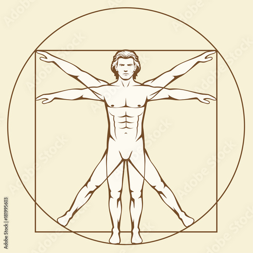 Leonardo Da Vinci Vetruvian Man, human anatomy photo