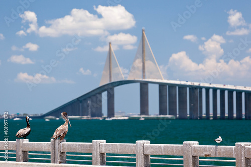 Sunshine Skyway Bridge