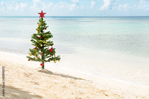 Christmas Tree Standing by a Sunny Beach