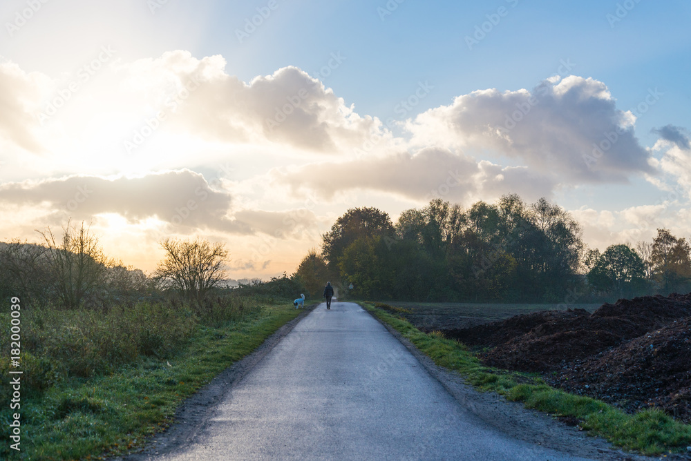 Morning scenery and silhouette human and dog are walking among a farm, nature ,fog and yellow sunshine flare in suburban Düsseldorf, Meerbusch Germany
