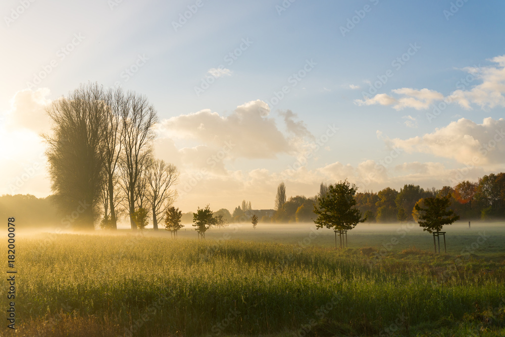 Obraz premium Morning scenery and silhouette of the farm, nature ,fog and yellow sunshine flare in suburban Düsseldorf, Meerbusch Germany
