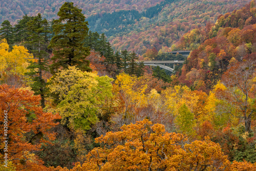 Beautiful Autumn colour season at Hachimantai area, Akita, Japan.	