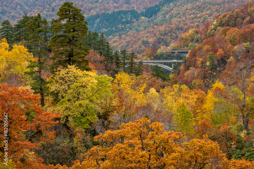 Beautiful Autumn colour season at Hachimantai area, Akita, Japan. 
