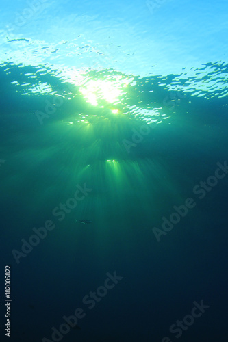 Underwater © Richard Carey
