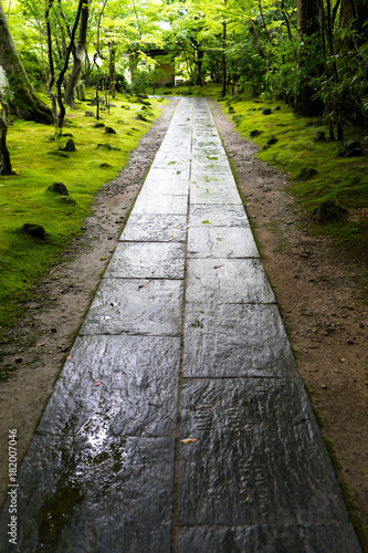日本庭園の石畳の風景