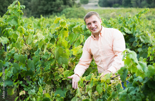 Happy farmer showing wine grape and leaves