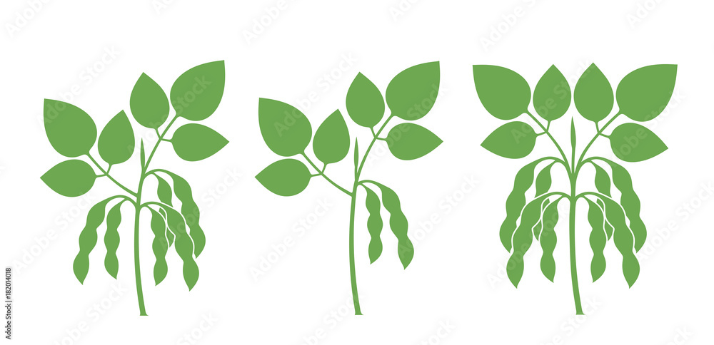 Ταπετσαρία Soybean silhouette. Isolated soybean on white background