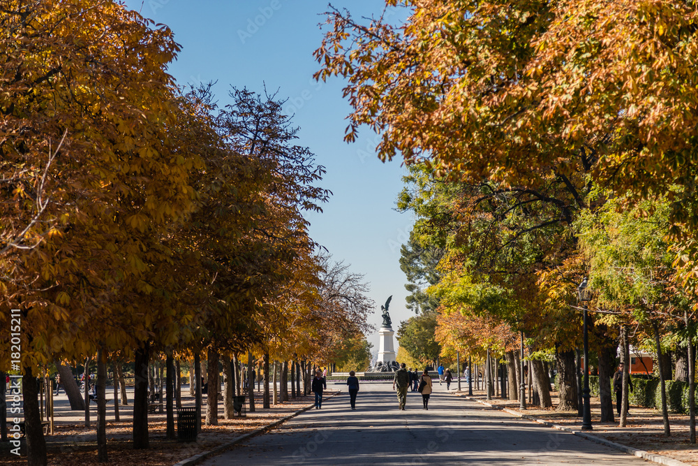 Naklejka premium Autumn landscapes in the Retiro Park in Madrid