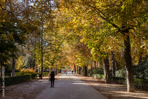 Autumn landscapes in the Retiro Park in Madrid