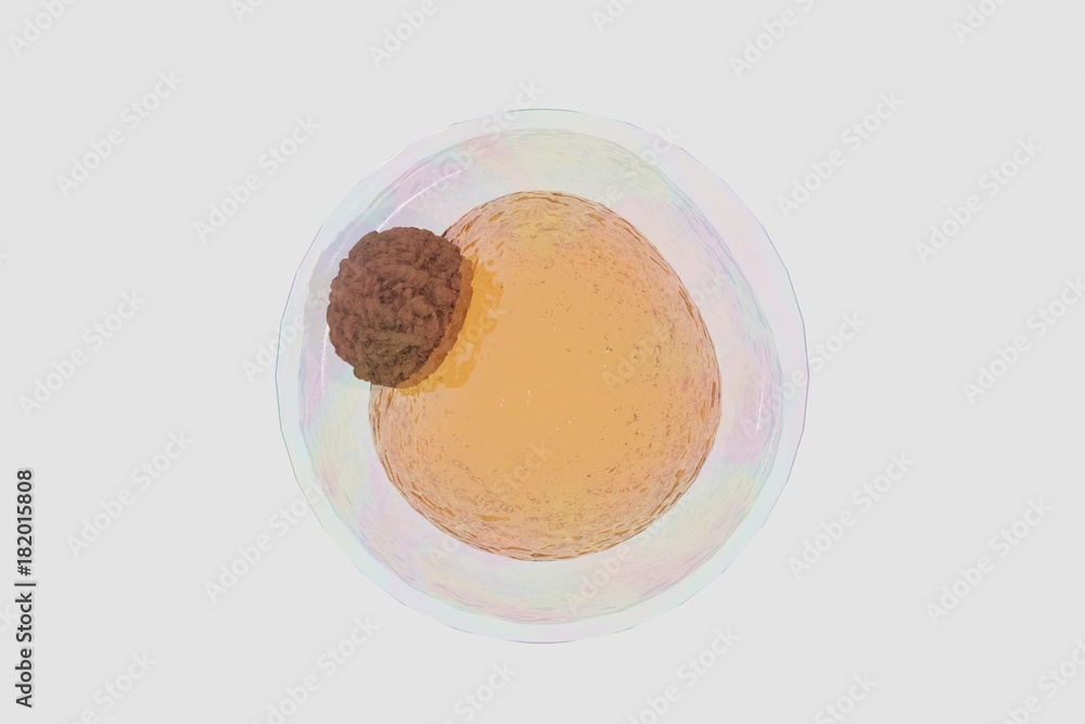 field of fat cells, High quality 3d render of fat cells, cholesterol in a cells, structure of the molecule, receptors on the cells surface 3d renderer field of fat cells, High quality 3d render of fat cells, cholesterol in a cells, structure of the molecule, receptors on the cells surface 3d renderer
