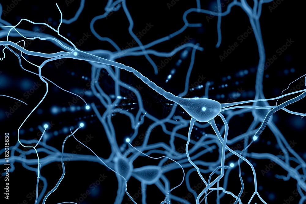 Neuron Cell, Neurons on white background, single neuron cell in human brain 3d rendering