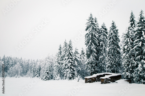 Snowfall in the italian alps