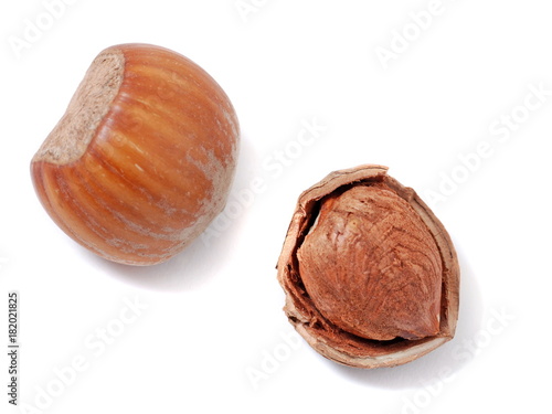 Hazelnuts isolated on white background.