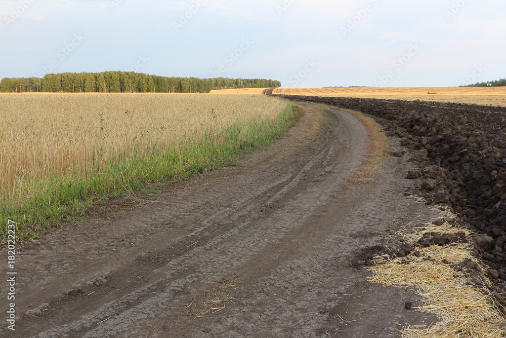 Winding dirt road among the fields in autumn, Siberia, Russia