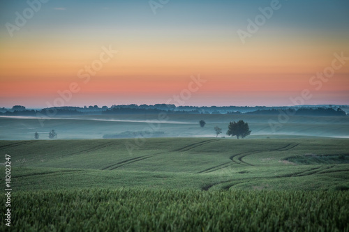 Wonderful dawn at foggy field in summer, Europe