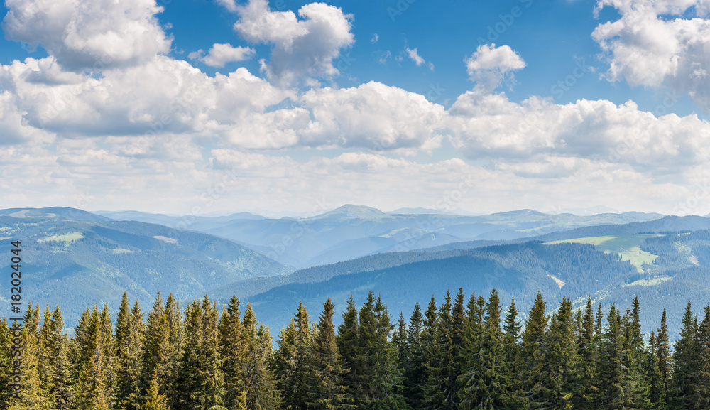 Landscape with forest