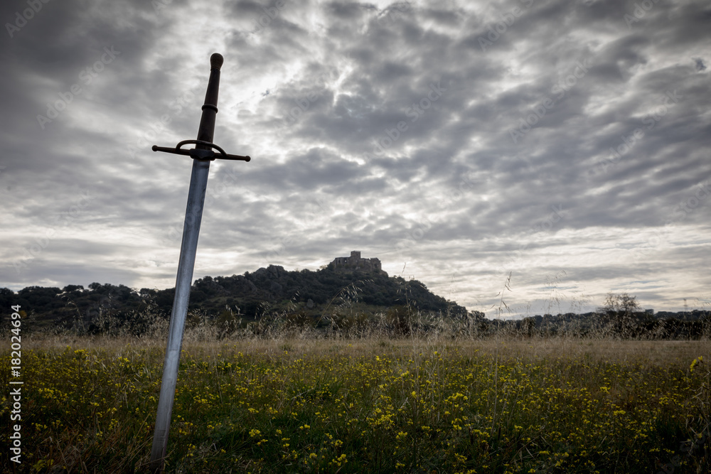 siege to the castle with swords