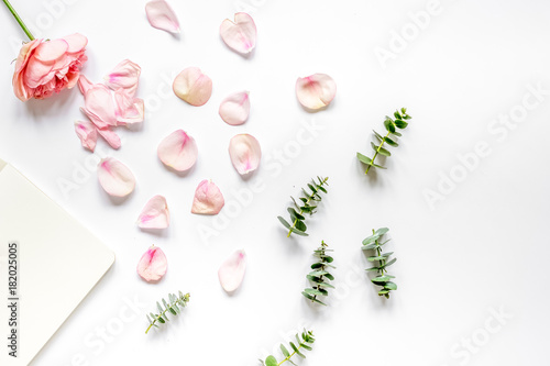 floral pattern with rose and eucalyptus on white table top view 