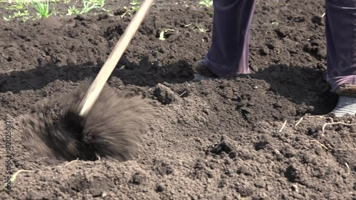 Weeding on Dry the Ground Plants. 4K UltraHD video.