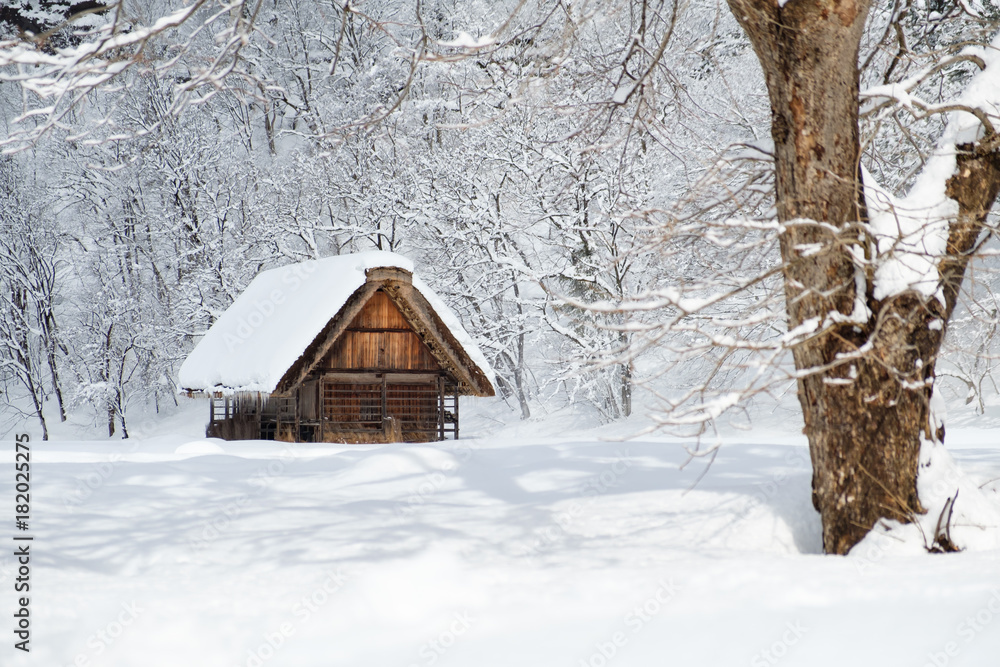 Historic Villages of Shirakawa-go, Japan in snowy day. Historic Villages of Shirakawa-go, Japan in snowy day.