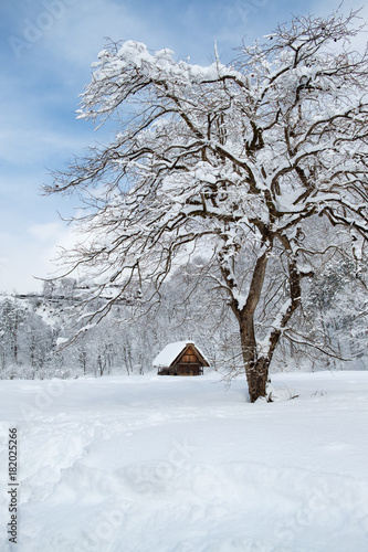 Historic Villages of Shirakawa-go, Japan in snowy day. © pattarastock